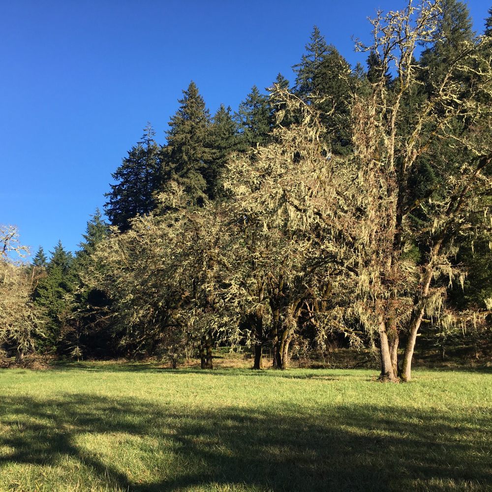 Mount Pisgah Arboretum - Venues & Event Spaces Near Me - Eugene, Oregon Mount Pisgah Arboretum - Venues & Event Spaces Near Me - Eugene, Oregon