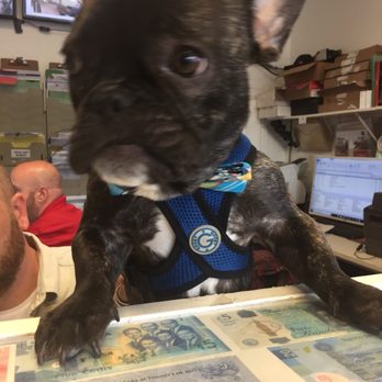 Leading Edge Auto Body - Dog - Body Shops Near Me - Baltimore, Maryland