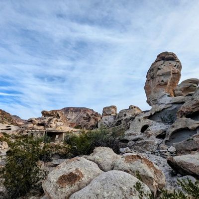 Big Bend Ranch State Park by null