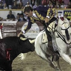Plaza de Toros el Relicario
