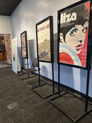 Cinema Arts Centre by null