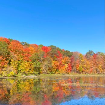 Wood Rill State Natural Area - Fall colors over the pond - Parks Near Me - Wayzata, Minnesota Wood Rill State Natural Area - Fall colors over the pond - Parks Near Me - Wayzata, Minnesota