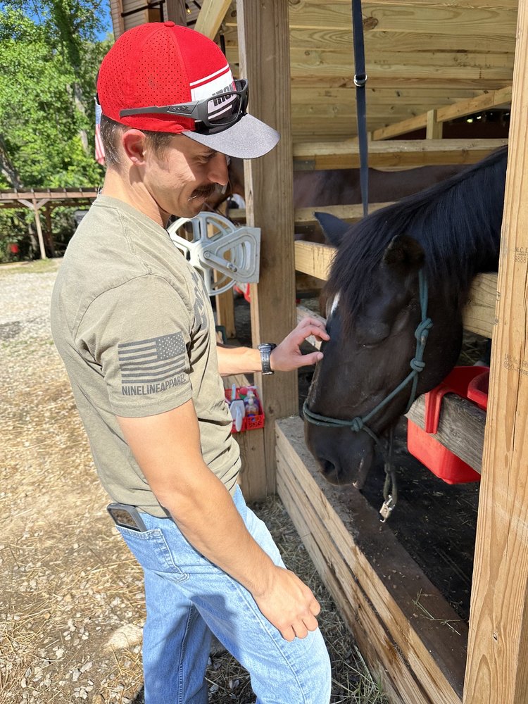 Gold City Corral & Carriage - equestrian in Dahlonega, GA