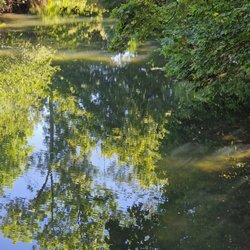 Park an der Ilm