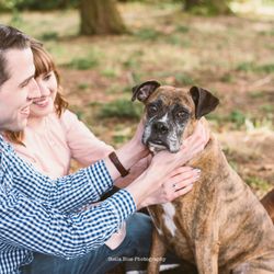 Stella Blue Photography - One of the sweet photos taken during our session with our dog, Roxy.
