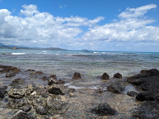 Makapuu Beach Park by null