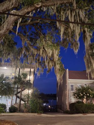 Tubby's Tank House Thunderbolt by null