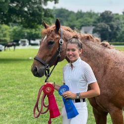 Three Painted Acres Dressage