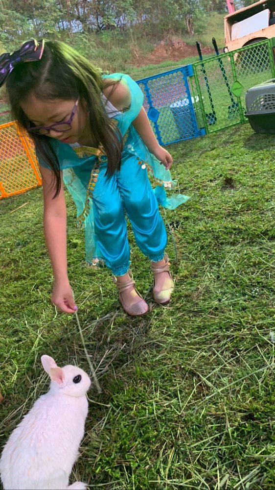 PANIOLO PARTIES Kapolei, Hawaii Party Characters Phone Number Yelp