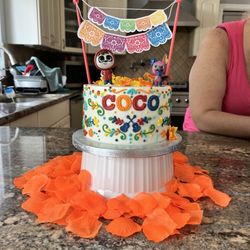 Mandoli's - 6" Coco themed smash cake