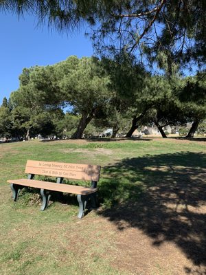 Bixby Village Golf Course by null