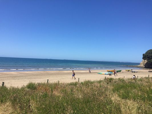 Long Bay Regional Park by null