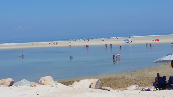 Chapin Memorial Beach by null