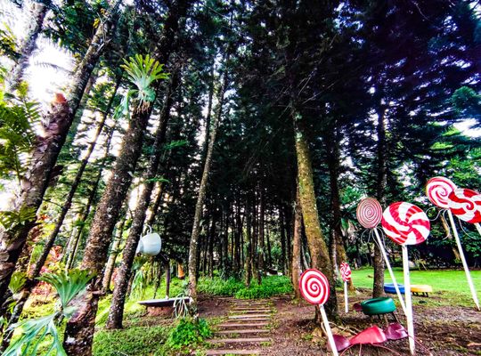 Malagos Garden Resort by null