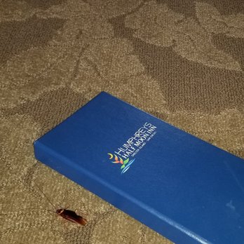 Humphreys Half Moon Inn - "Tropical Bugs" ie cockroaches - San Diego, CA