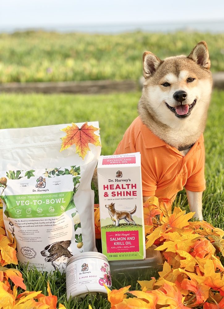 DR. HARVEY’S Updated September 2024 25 W Highland Ave, Atlantic