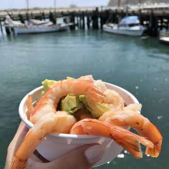 Tognazzini's Dockside Too - Shrimp cocktail with avocado. Bright & fresh! - Seafood Near Me - Morro Bay, California Tognazzini's Dockside Too - Shrimp cocktail with avocado. Bright & fresh! - Seafood Near Me - Morro Bay, California