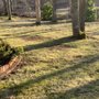 Photo of Carter's Landscaping