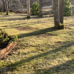 Carter's Landscaping - Spring Cleanup.