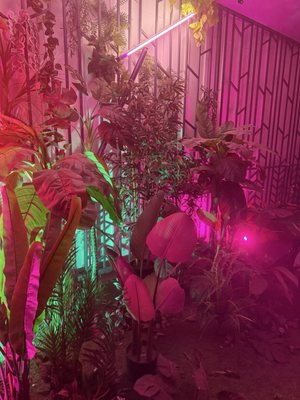 77° Rooftop Patio Bar by null