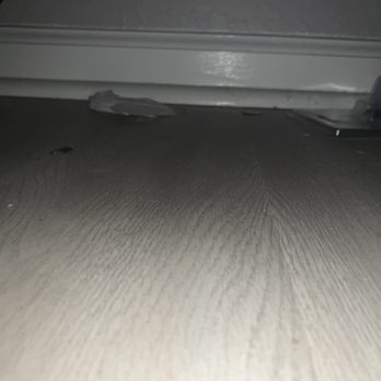 Magical Vacation Homes - More trash and dust under the dresser in downstairs bedroom. - Vacation Rentals Near Me - Davenport, Florida Magical Vacation Homes - More trash and dust under the dresser in downstairs bedroom. - Vacation Rentals Near Me - Davenport, Florida