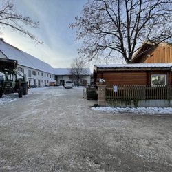 Stürzerhof - Hof