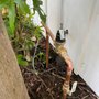 Photo of Robin & Son’s Plumbing