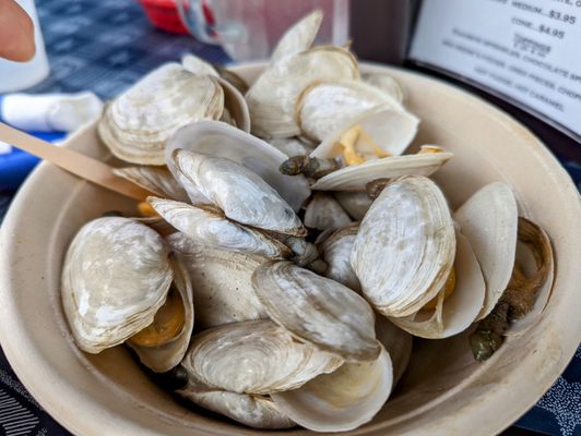 Bostwick's Chowder House by null
