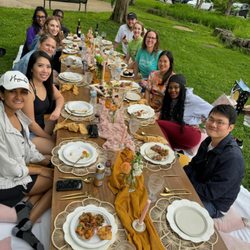 Alpaca Picnic - The happy group
