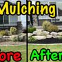 Photo of Dave’s Landscaping