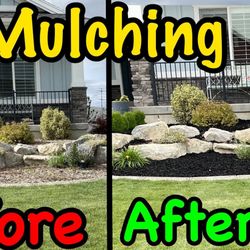 Dave’s Landscaping