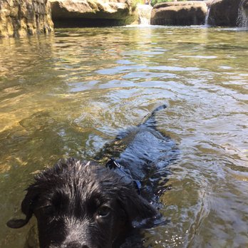Bull Creek Greenbelt - Not too deep for kids - Parks Near Me - Austin, Texas