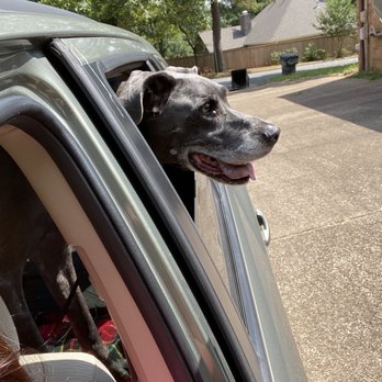 Style And Stay - Pet Boarding - 159 Rusche Ln Nacogdoches Tx - Phone Number - Yelp