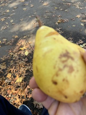 The Original Soup Kitchen by null