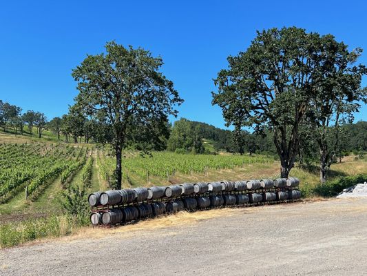 Maysara Winery by null