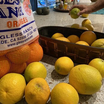 Gless Ranch - Oranges from Gless Ranch - Farmers Market Near Me - Riverside, California