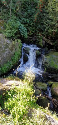 Triberg Waterfalls by null