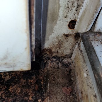 BayTEC Home Inspections - Rotted garage door. - Home Inspectors Near Me - Palm Harbor, Florida BayTEC Home Inspections - Rotted garage door. - Home Inspectors Near Me - Palm Harbor, Florida