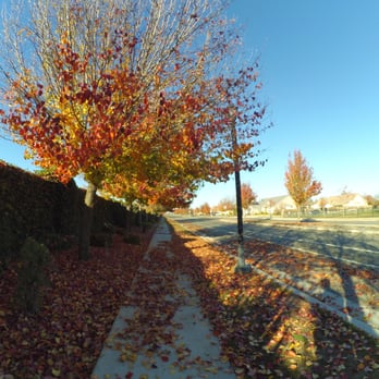 City Of Kerman - Fall along Siskiyou ave - Public Services & Government Near Me