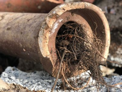 Slide of LCVL Excavation & Plumbing