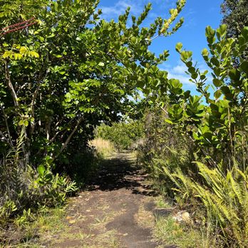 Ha'ena Beach - aka Shipman Beach - Hiking Near Me - Keaau, Hawaii Ha'ena Beach - aka Shipman Beach - Hiking Near Me - Keaau, Hawaii