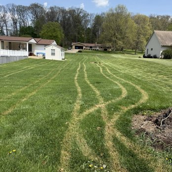TruGreen Lawn Care - Our one acre yard is burnt by the Tru Green treatment.  Do you mean the guy treating the yard? Cannot tell what he was doing? - Tree Services Near Me - Canton, Ohio