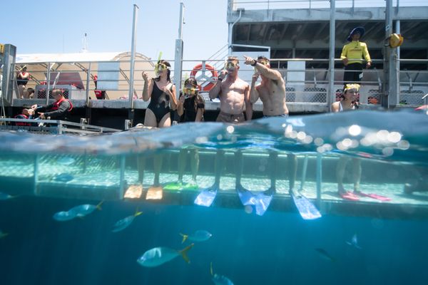 Sunlover Reef Cruises by null