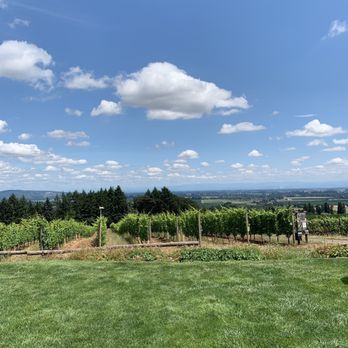 NW Wine Shuttle - Willamette valley vines - Wine Tours Near Me - Carlton, Oregon