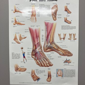Biel Foot & Ankle Specialists - Podiatrists Near Me - Houston, Texas Biel Foot & Ankle Specialists - Podiatrists Near Me - Houston, Texas