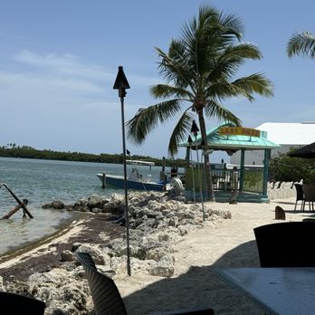 Lazy Days Restaurant - Perfect setting in the Florida Keys - Seafood Near Me - Islamorada, Florida Lazy Days Restaurant - Perfect setting in the Florida Keys - Seafood Near Me - Islamorada, Florida