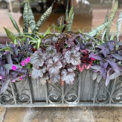 Hometown Designs Landscaping - Spring container design
