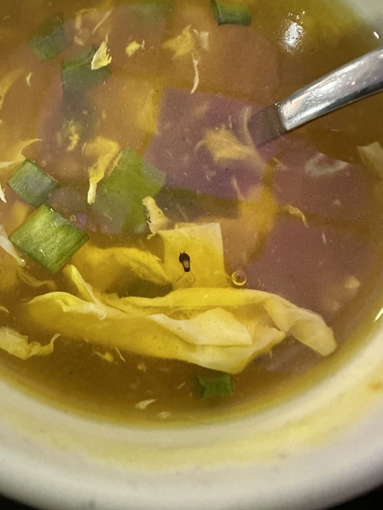 NEW BO BO CHINESE RESTAURANT Updated November 2024 17 Photos & 26