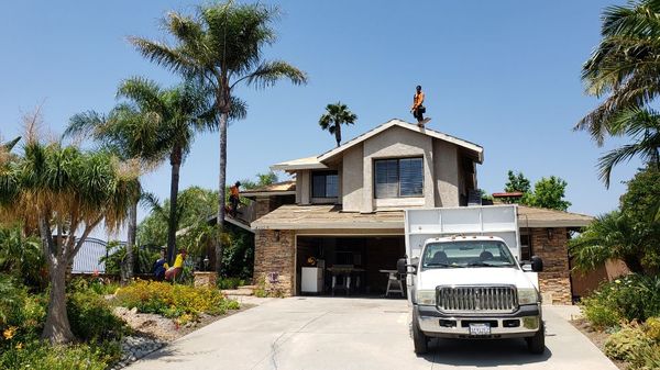 Champion Weatherproofing