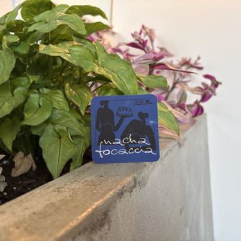 Nacha Focaccia - +10 points for real plants (can't stand fake ones) - Bakeries Near Me - Brooklyn, New York Nacha Focaccia - +10 points for real plants (can't stand fake ones) - Bakeries Near Me - Brooklyn, New York